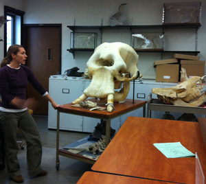 masa zoo museum two-1